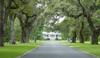 Lot 8 Tuckers Road, Pawleys Island SC 29585